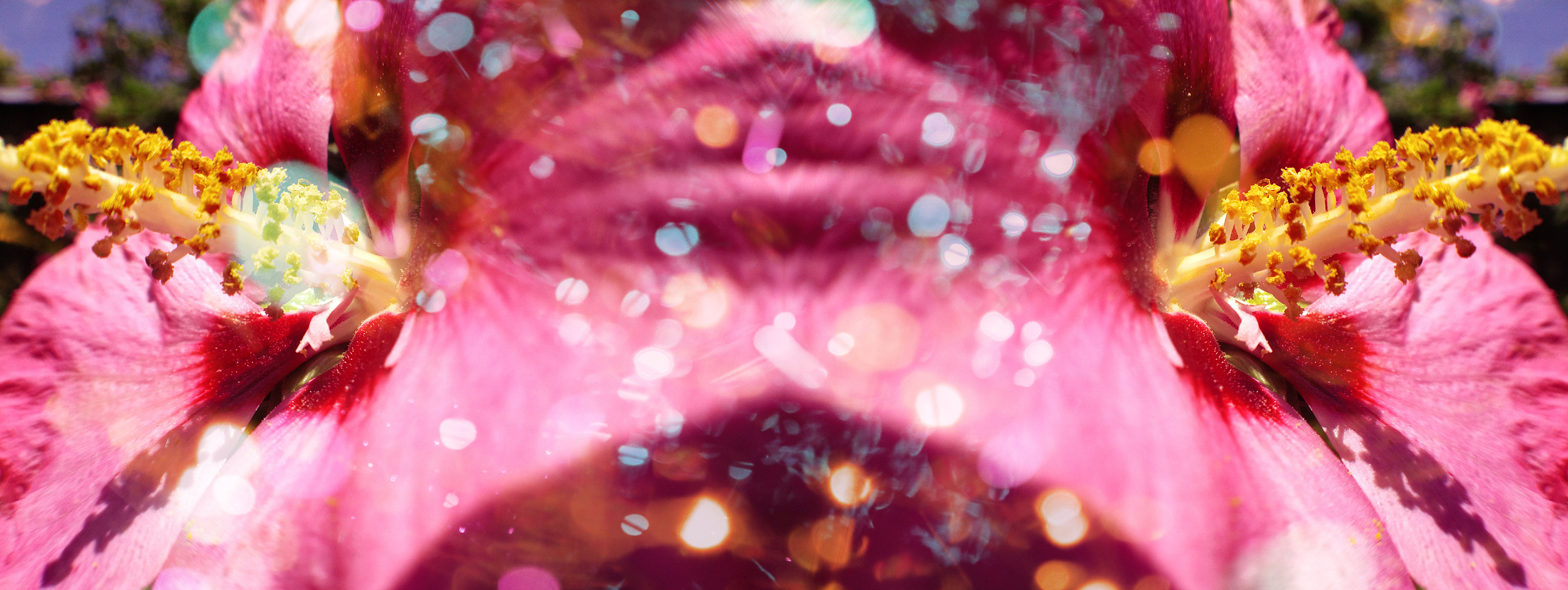 Flor romance: appart I, 2013, C-print, 19.5" x 42"