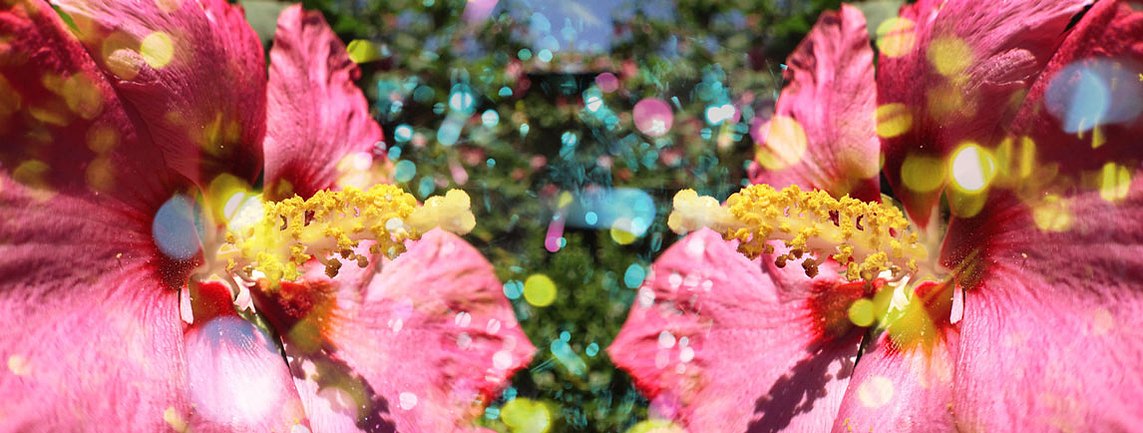 Flor romance: Encounter I 2013, C-print, 19.5"x42"